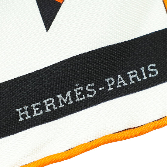 Hermes Multicolor D'Henri D'Origny Rocabar Silk Scarf