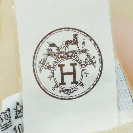 Hermes Tricolor Boucles Et Galons Du Tsar Print Wash Scarf