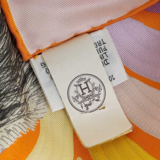 Hermes Tricolor Tigre Royal Double Face Scarf 90