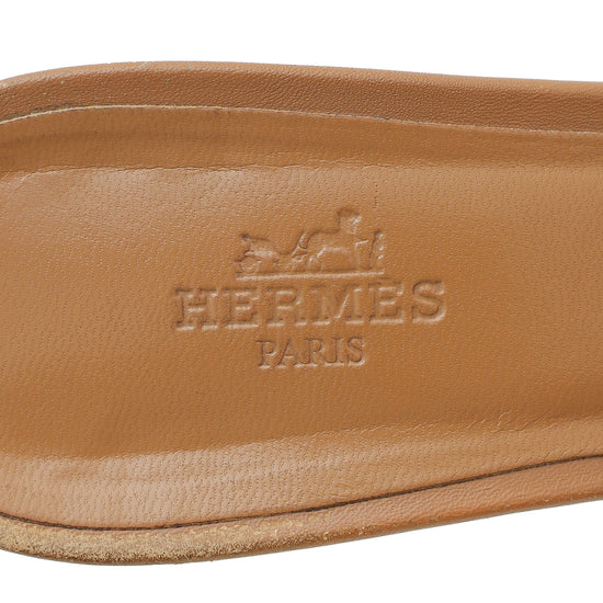 Hermes Bicolor Oasis Sandal 39