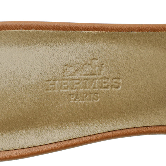 Hermes Gold Oasis Sandal 39