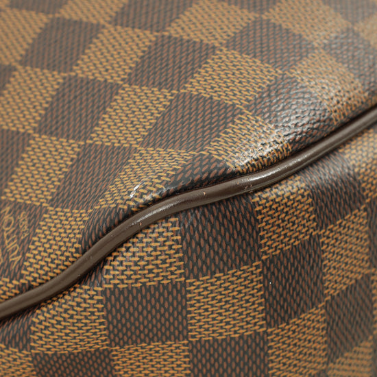 Louis Vuitton Damier Ebene Delightful PM Bag