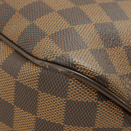 Louis Vuitton Damier Ebene Delightful PM Bag