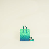Louis Vuitton Bicolor Monogram Illussion Sac Plat XS Bag (For Men)
