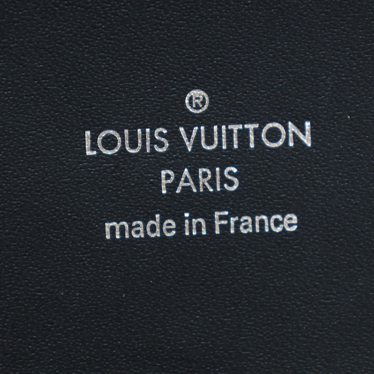 Louis Vuitton Ardoise Taiga Pegase 55 Bag