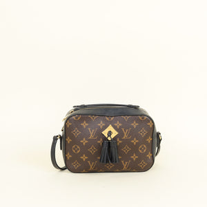 Louis Vuitton Bicolor Monogram Saintonge Bag