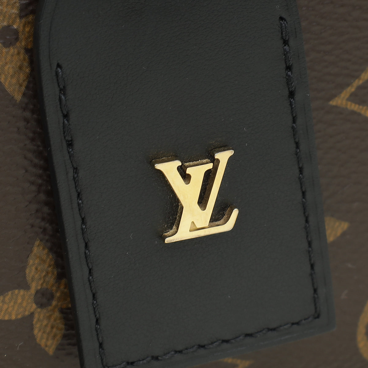 Louis Vuitton Brown Monogram Petite Malle Souple Bag