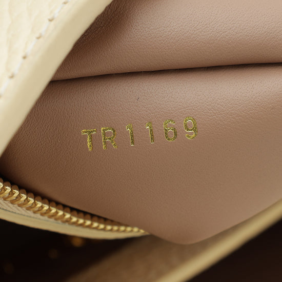 Louis Vuitton Beige Taurillon Gradient MM Bag – The Closet