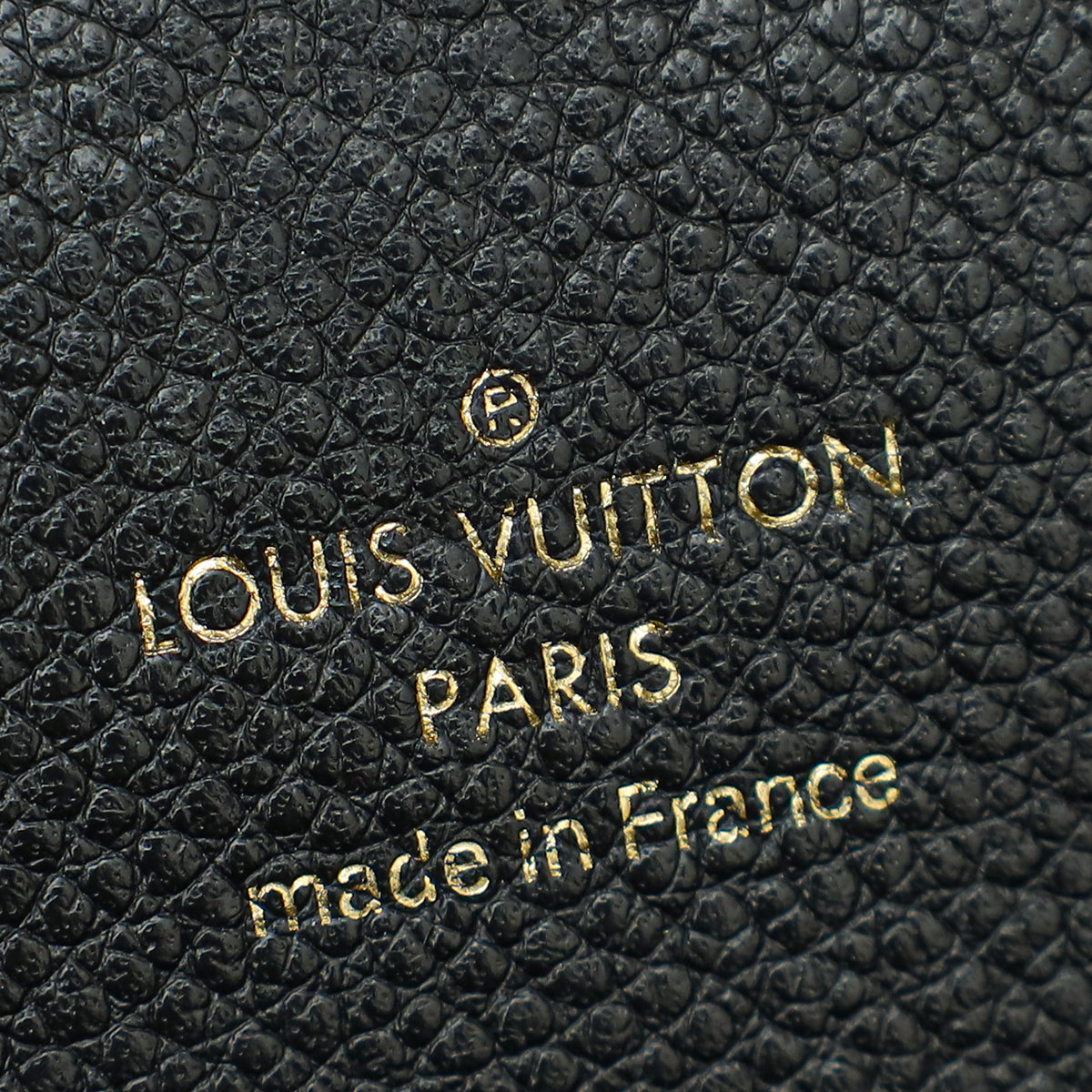 Louis Vuitton Bicolor Monogram Venus Bag