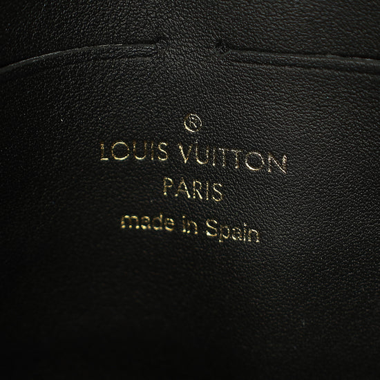 Louis Vuitton Damier Ebene Vavin Chain Wallet-Louis Vuitton-THE CLOSET