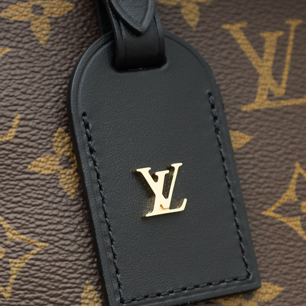 Louis Vuitton Bicolor Monogram Odeon NM PM Bag