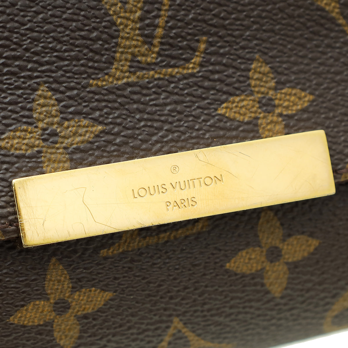 Louis Vuitton Monogram Favorite MM Bag