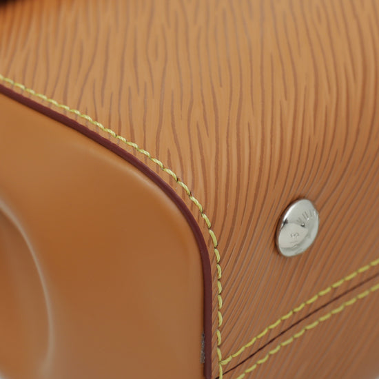 Louis Vuitton Honey Gold Cluny Mini Bag – The Closet