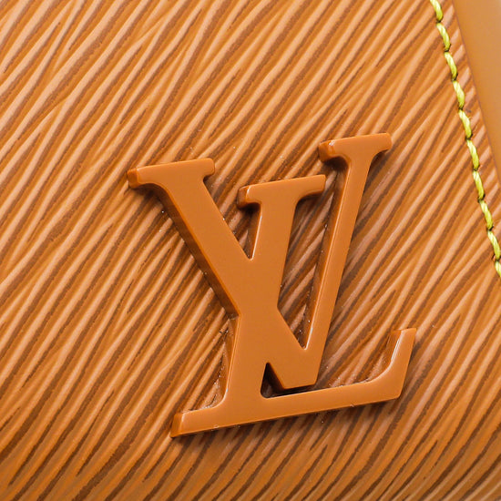 Louis Vuitton Honey Gold Cluny Mini Bag