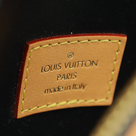 Louis Vuitton Bicolor Monogram & Calf Egg Bag