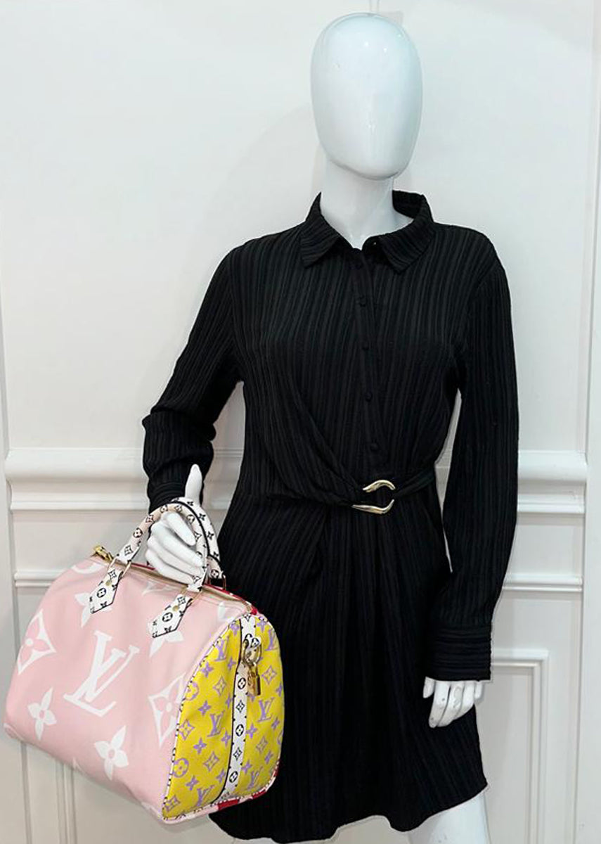 Louis Vuitton Multicolor Ltd. Ed. Monogram Giant Speedy