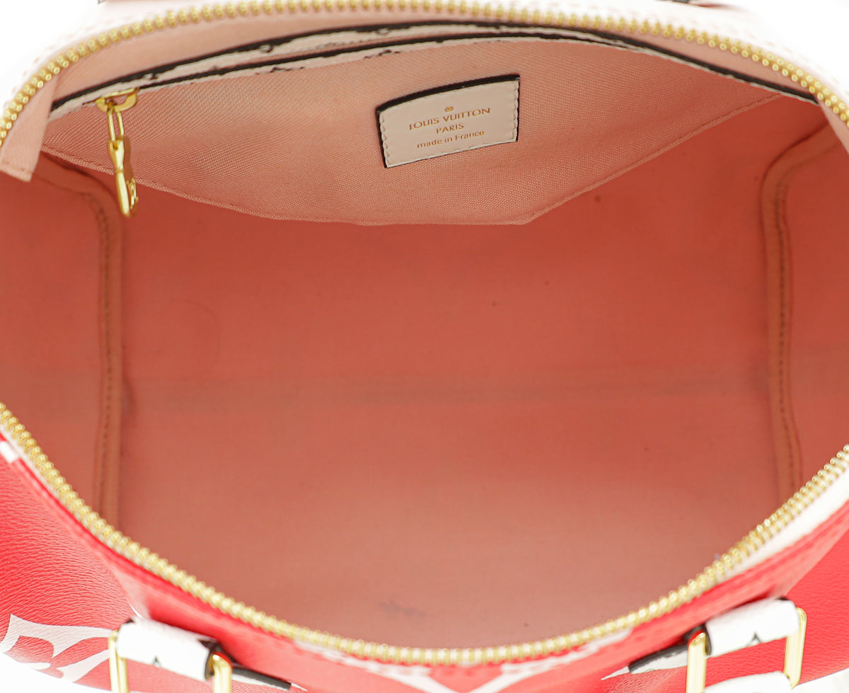 Louis Vuitton Multicolor Ltd. Ed. Monogram Giant Speedy