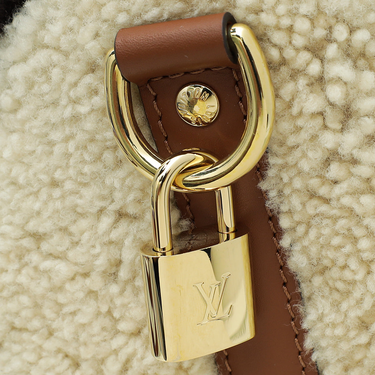 Louis Vuitton Speedy Bandouliere Monogram Teddy Fleece Bag