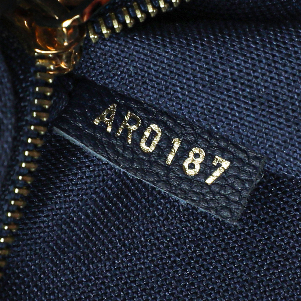 Louis Vuitton Indigo Vaneau Bag