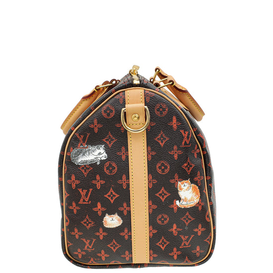 Louis Vuitton Multicolor x Grace Coddington Catogram Speedy Bandouliere 30 Bag