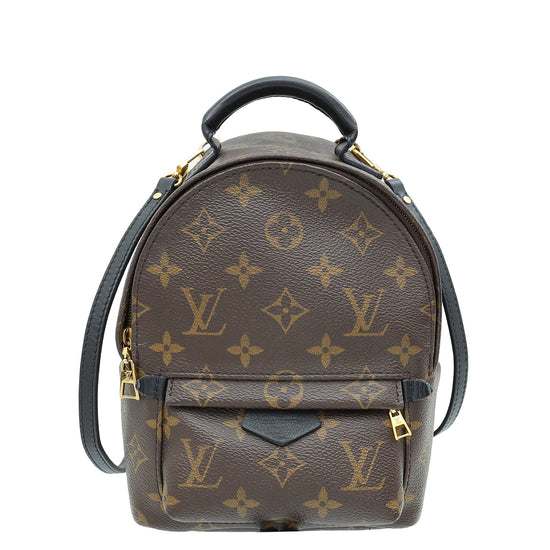 Louis Vuitton Monogram Palm Spring Mini Backpack Bag