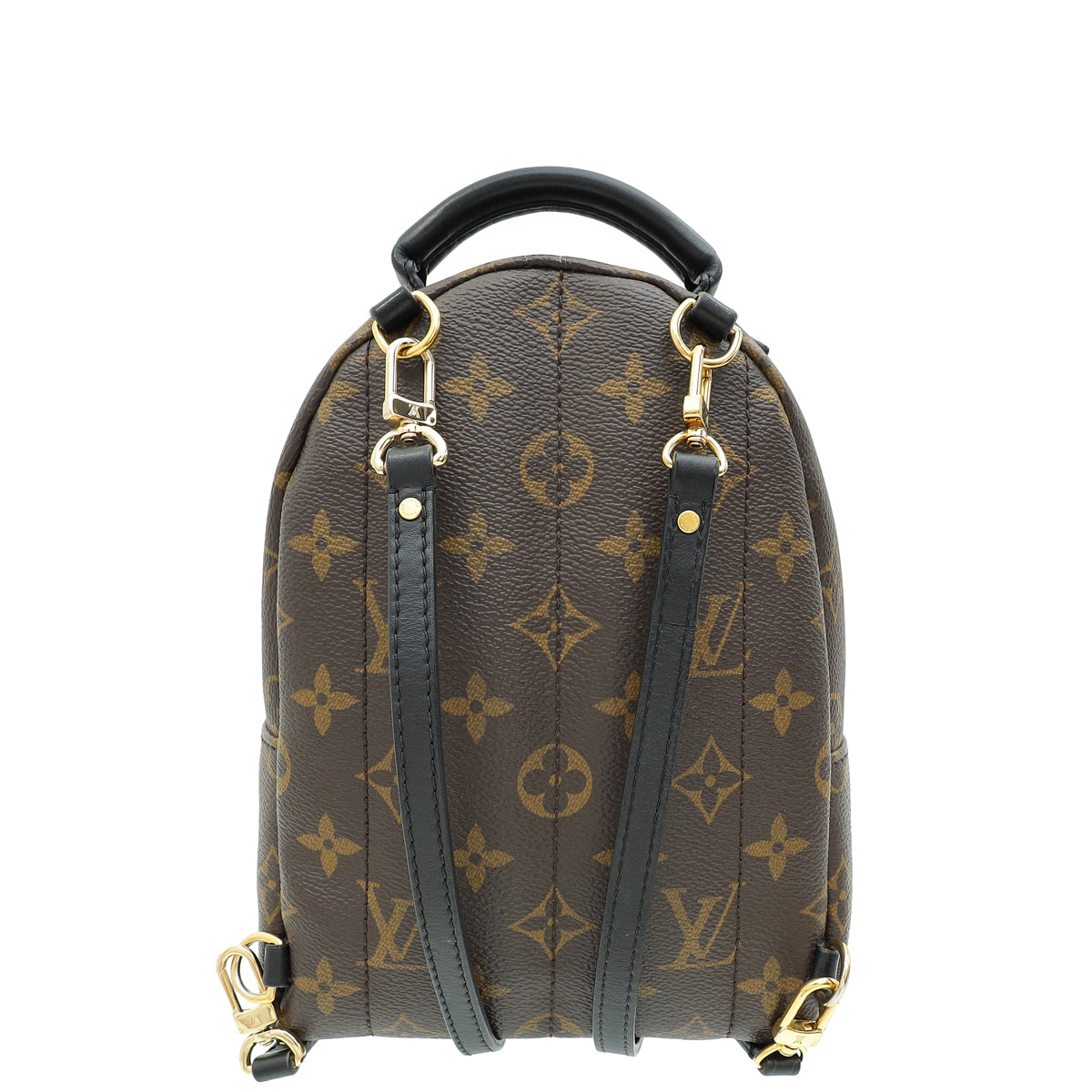 Louis Vuitton Monogram Palm Spring Mini Backpack Bag