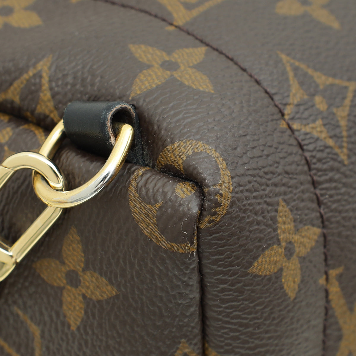 Louis Vuitton Monogram Palm Spring Mini Backpack Bag – THE CLOSET