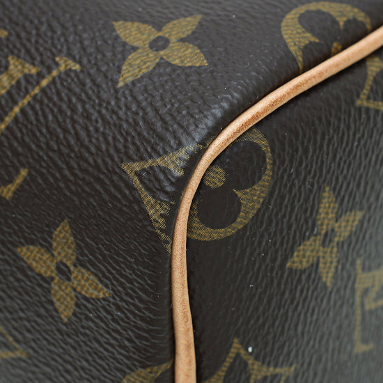 Louis Vuitton Monogram Nano Speedy Bag