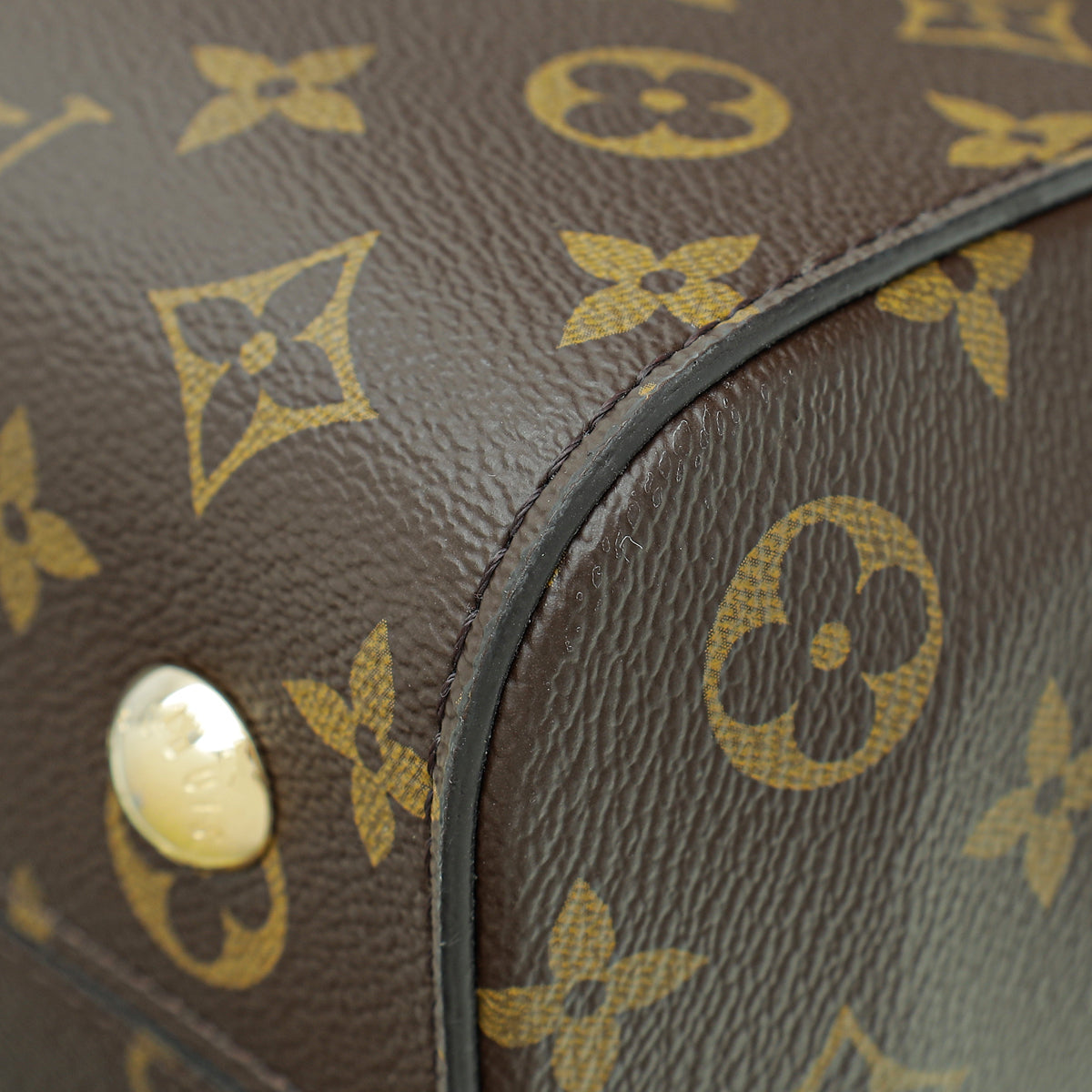 Louis Vuitton Monogram Cluny MM Bag