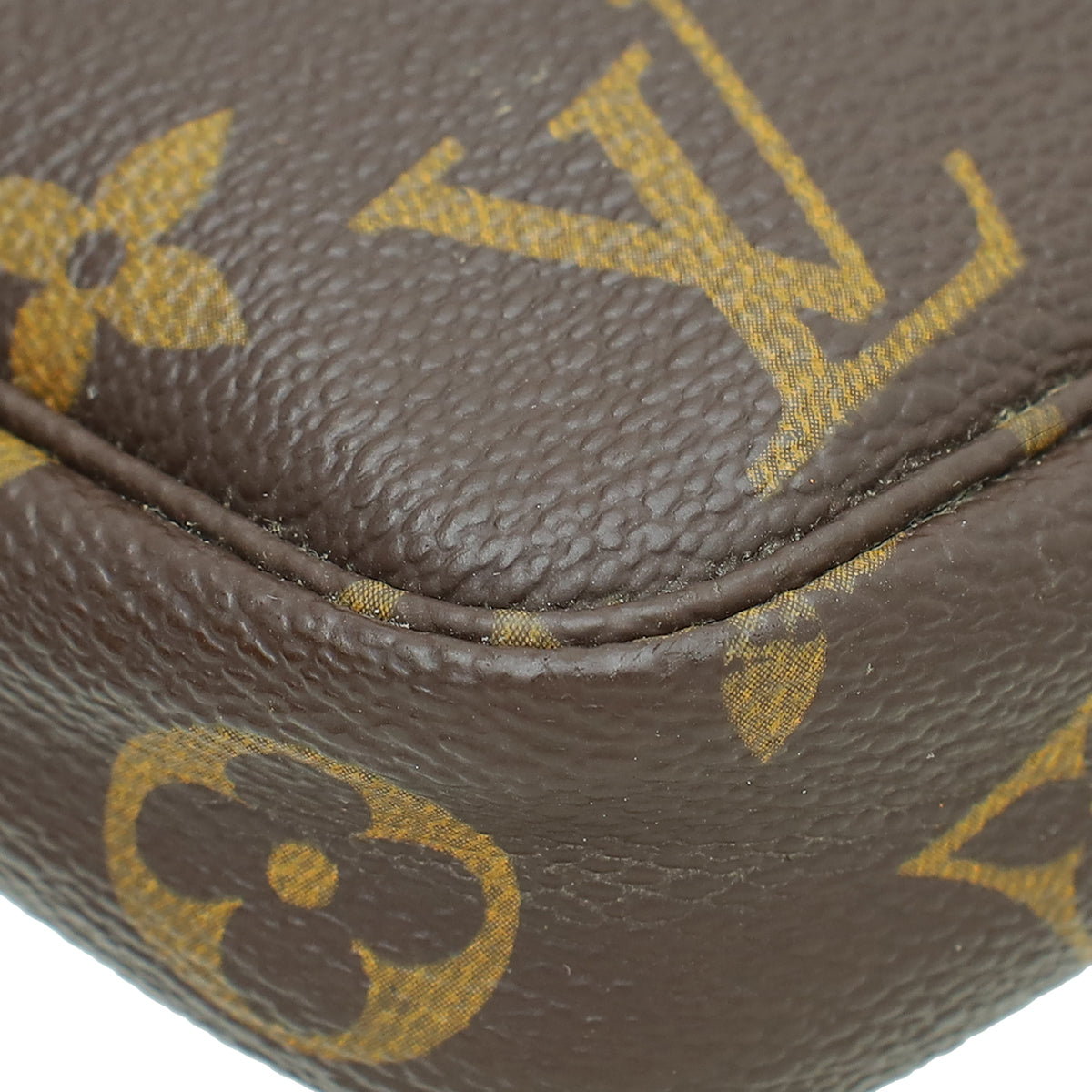 Louis Vuitton Monogram Pochette Accessories Mini Bag