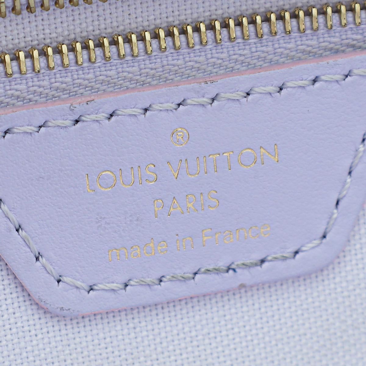 Louis Vuitton Monogram Giant Spring In The City Neverfull MM Sunrise Pastel  in 2023