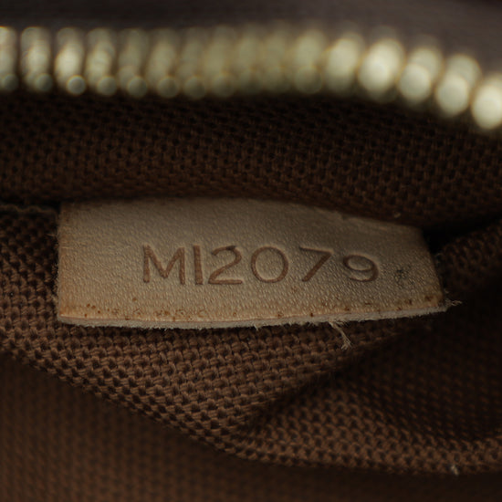 Louis Vuitton Monogram Thames Hobo Bag