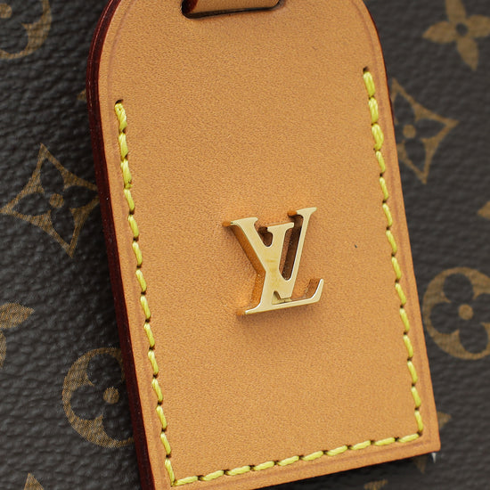 Louis Vuitton Monogram Petite Boite Chapeau Bag