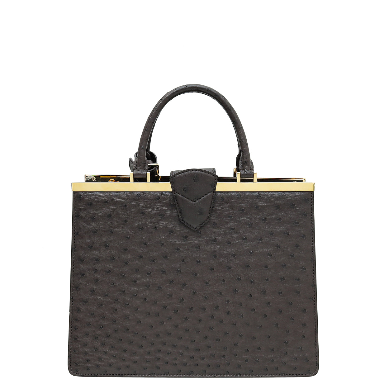 Louis Vuitton Chocolate Brown Ostrich Deesse MM Bag-Louis Vuitton-THE CLOSET
