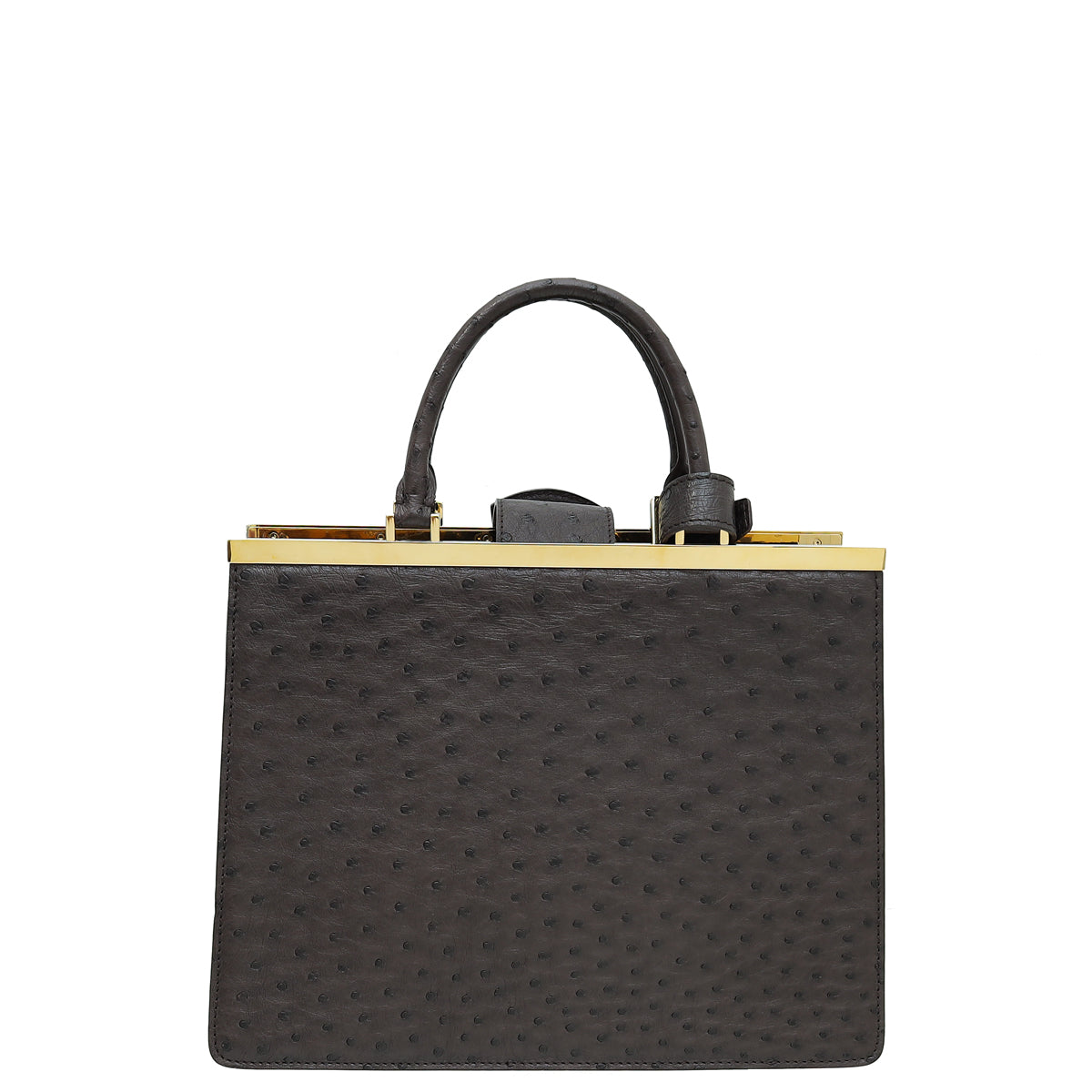 Louis Vuitton Chocolate Brown Ostrich Deesse MM Bag-Louis Vuitton-THE CLOSET