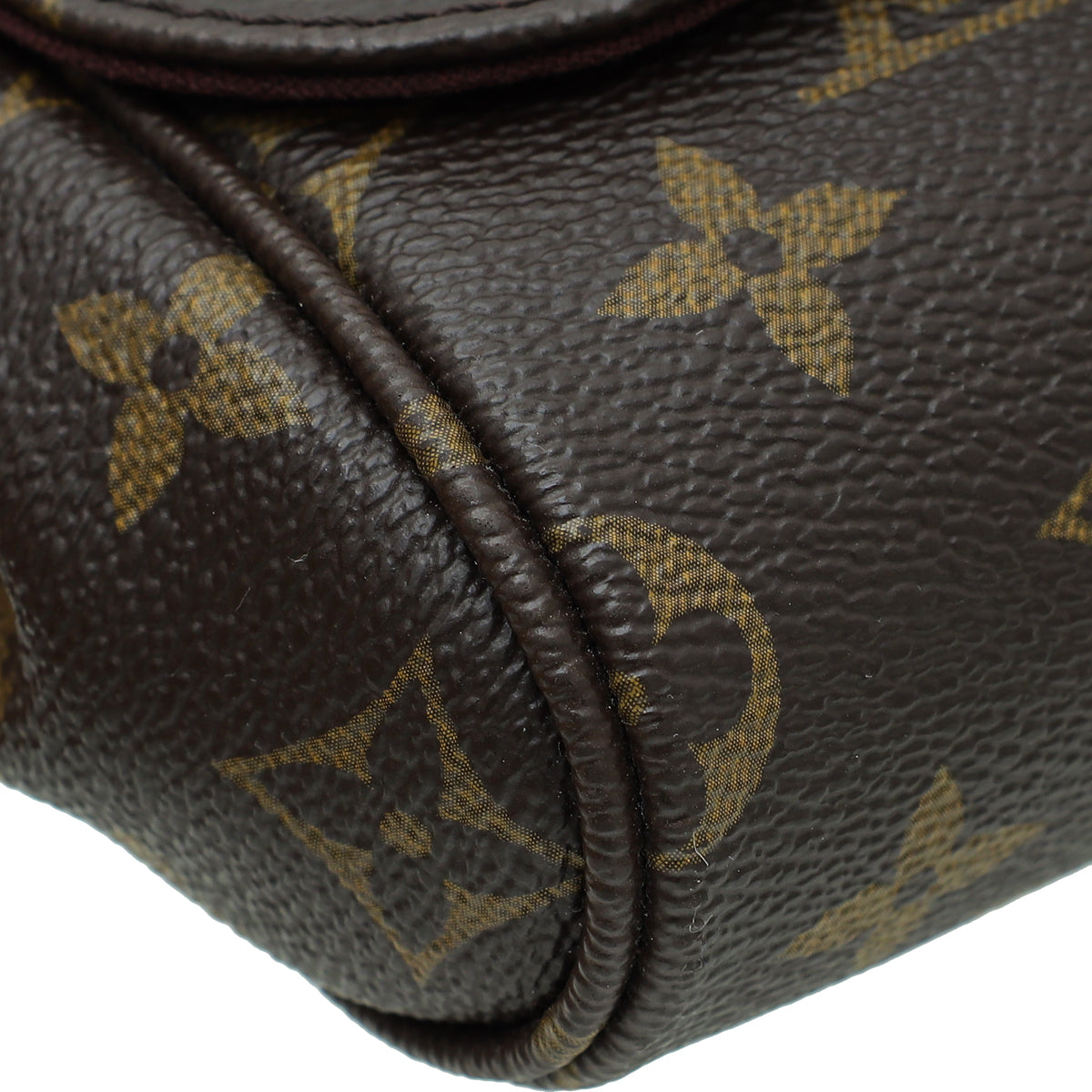 Louis Vuitton Monogram Favorite MM Bag