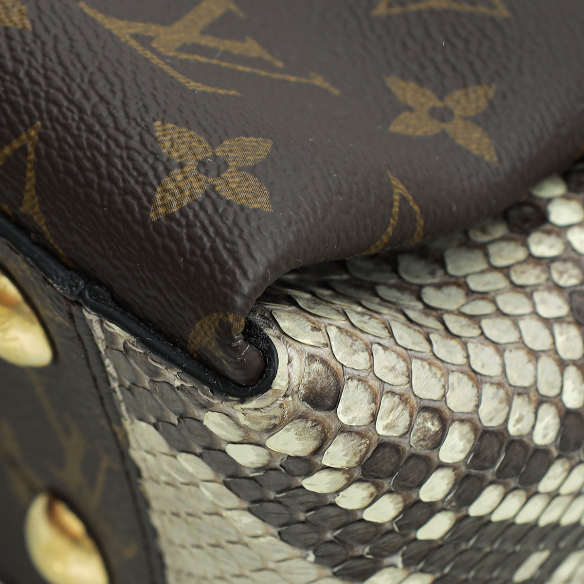 Louis Vuitton Bicolor Monogram Python Surene BB Bag – The Closet