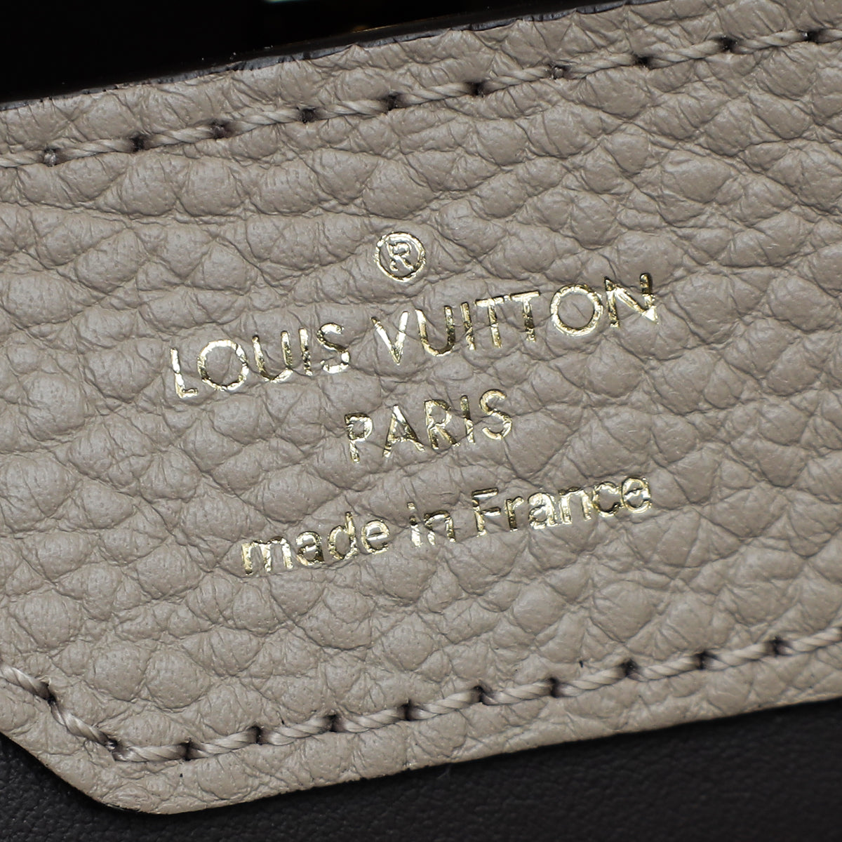 Louis Vuitton Galet Capucine MM Python Handle Bag