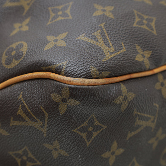 Louis Vuitton Brown Monogram Delightful MM Bag