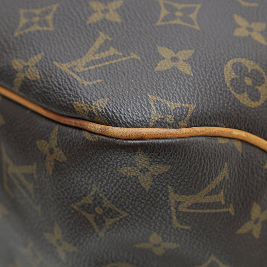 Louis Vuitton Brown Monogram Delightful MM Bag