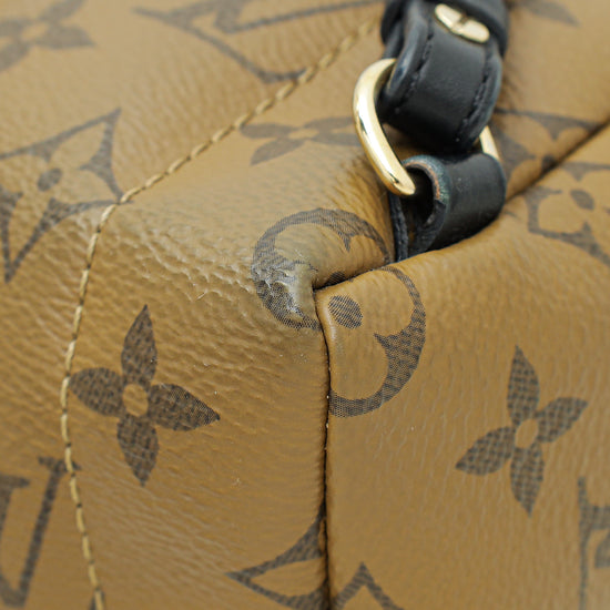 Louis Vuitton Monogram Reverse Palm Spring Mini Bag