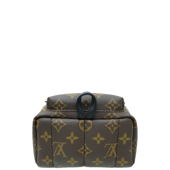 Louis Vuitton Monogram Palm Spring Mini Backpack Bag