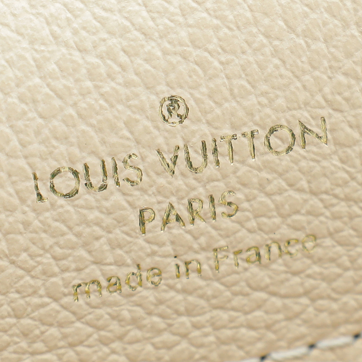 Louis Vuitton Damier Ebene Riverside Tote Bag