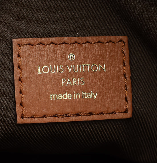 Louis Vuitton Monogram Loop Hobo Bag W/ Small Pouch