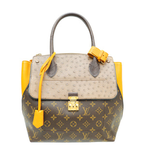 Louis Vuitton Multicolor Majestueux Tote MM Bag