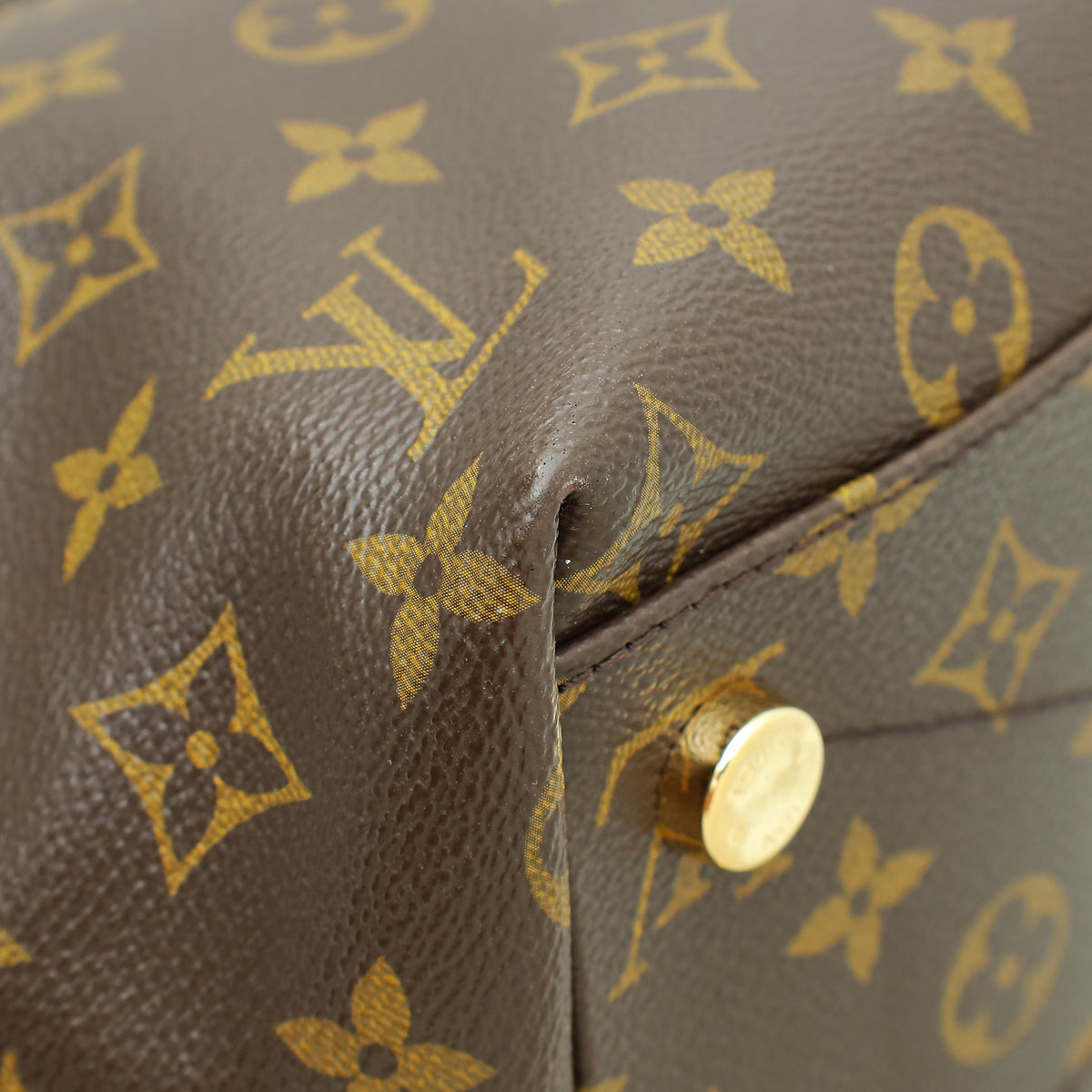 Louis Vuitton Multicolor Majestueux Tote MM Bag