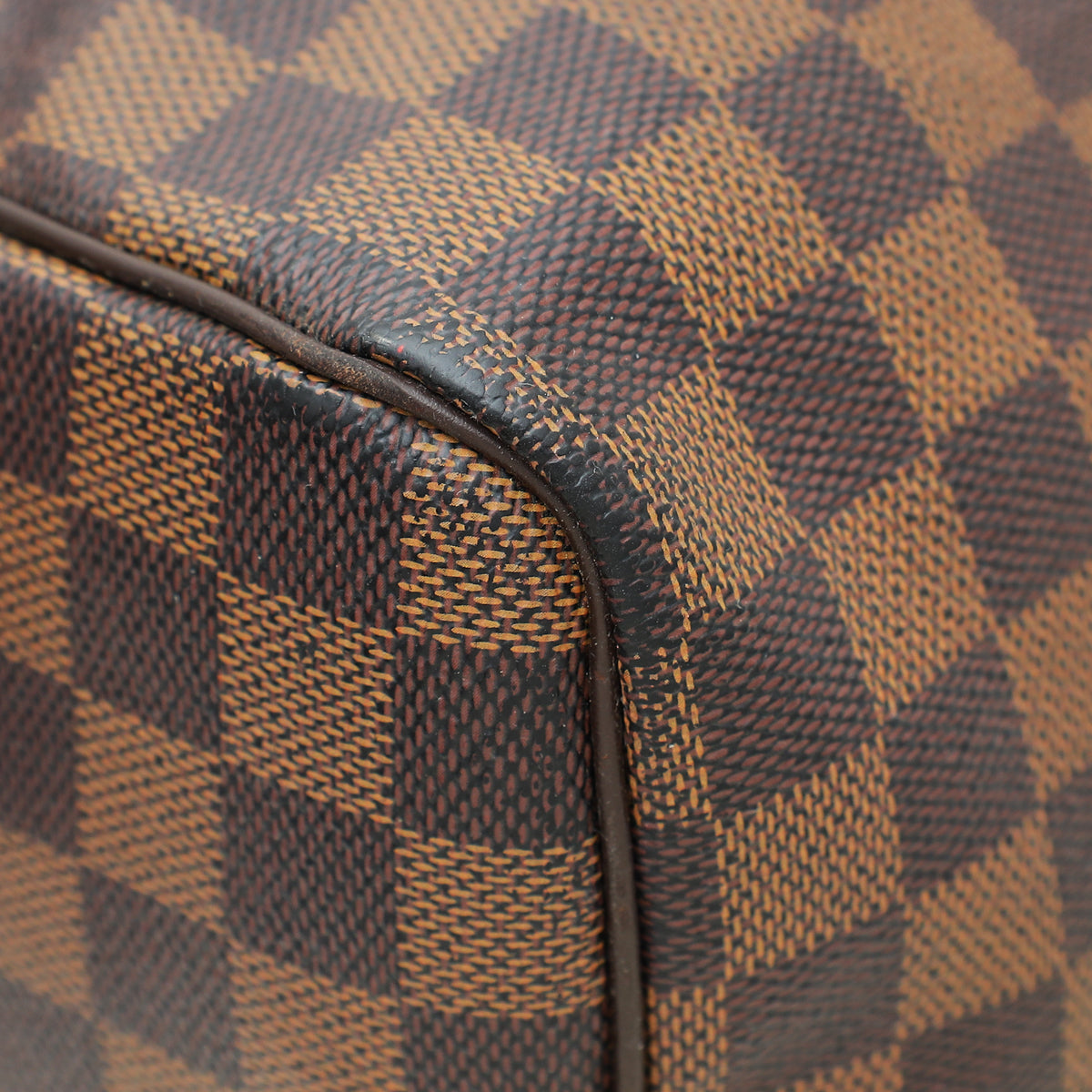 Louis Vuitton Damier Ebene Speedy 30 Bag – The Closet