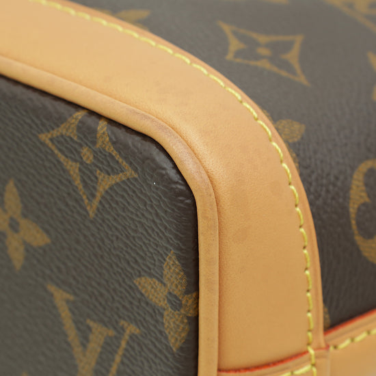 Louis Vuitton Monogram Neo Nano Bag