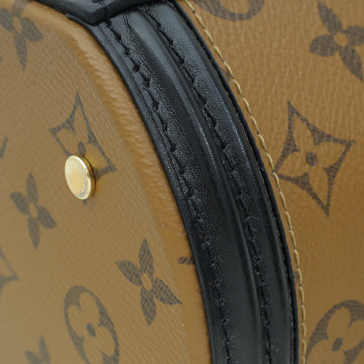 Louis Vuitton Monogram Reverse Cannes Bag