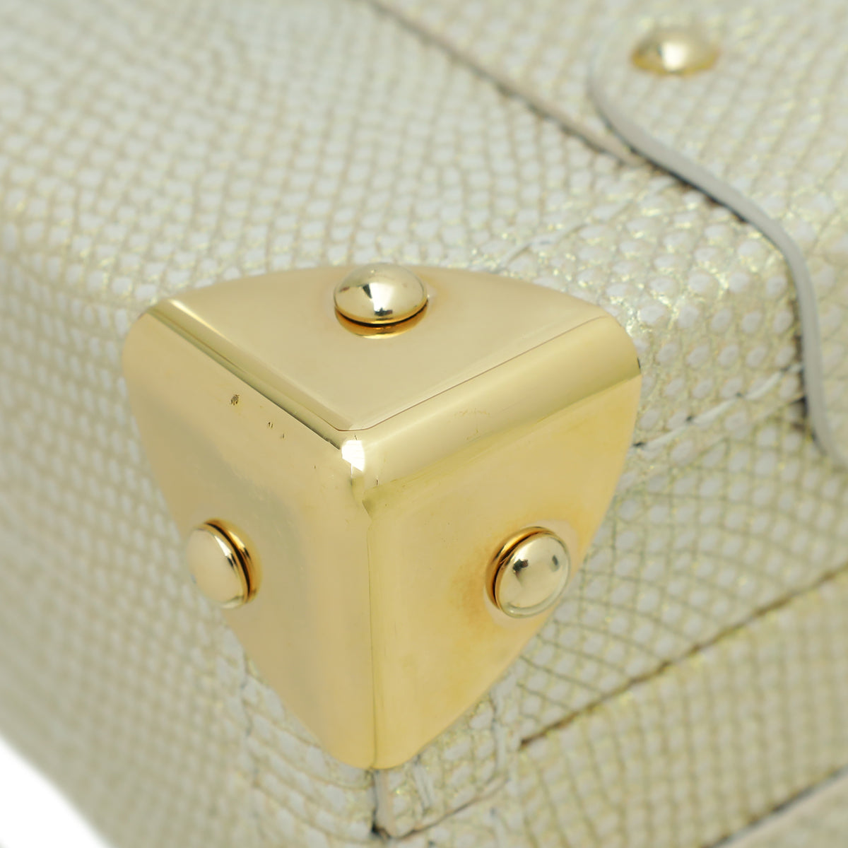 Louis Vuitton Bicolor Lizard Petite Malle Bag